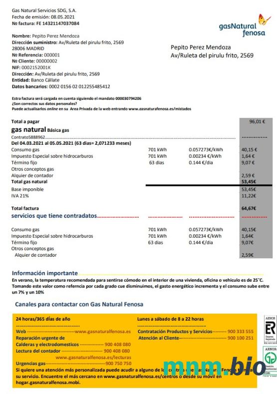 Hiszpania gasNatural fenosa rachunek za media szablon w formacie Word i PDF